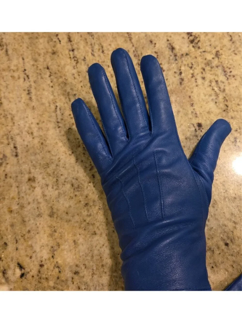 Womens Size S/M Blue Leather Lined Gloves